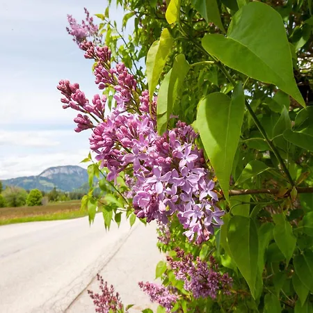 Brixen Valley Bus Access Casa vacanze