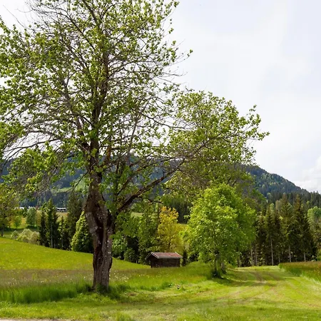 Casa vacanze Brixen Valley Bus Access Hopfgarten im Brixental