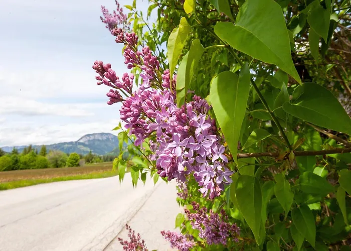 Brixen Valley Bus Access Vakantiehuis