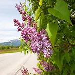 Brixen Valley Bus Access 펜션
